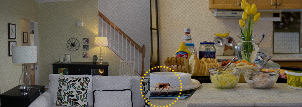 We Care Pest Control - kitchen-pest-free